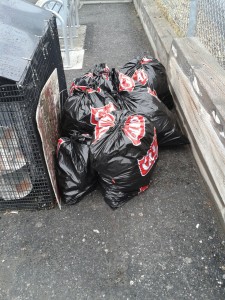 Six bags of trash were collected.
